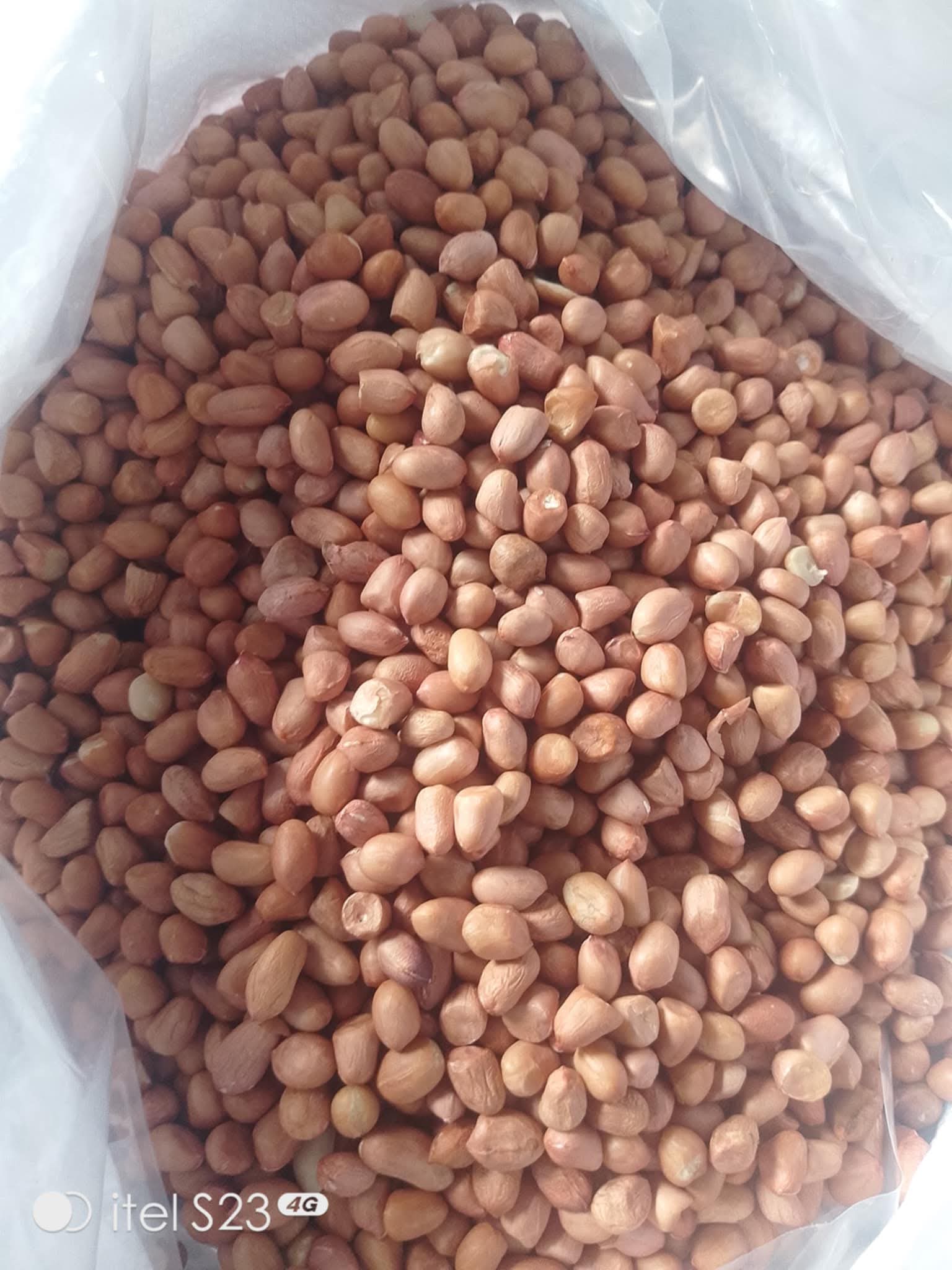 Peanut Kernels 50/60